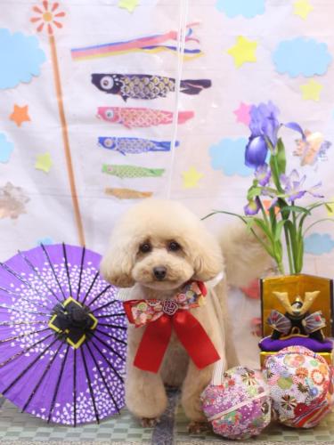 20240515サラちゃん